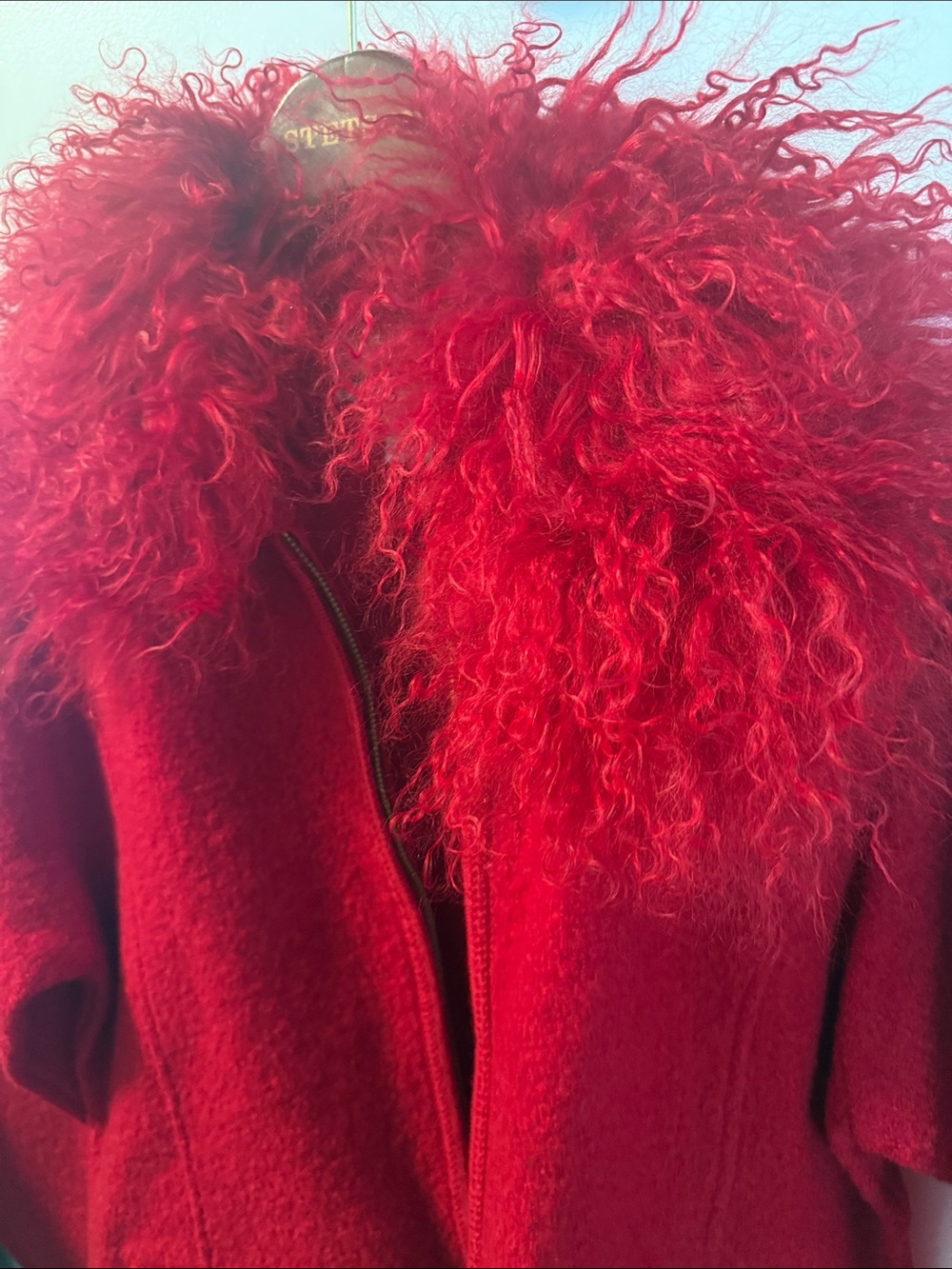 Lisa International Red Teddy Jacket with Curly Fur Collar - Picture 5 of 6